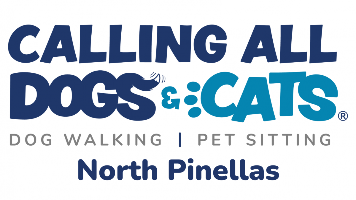 Calling All Dogs & Cats of North Pinellas