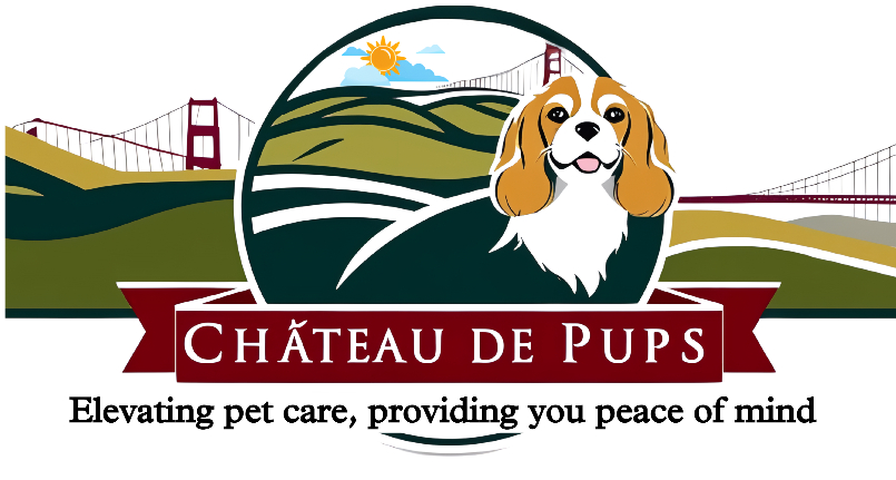 Chateau De Pups 