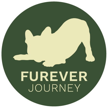 Furever Journey LLC