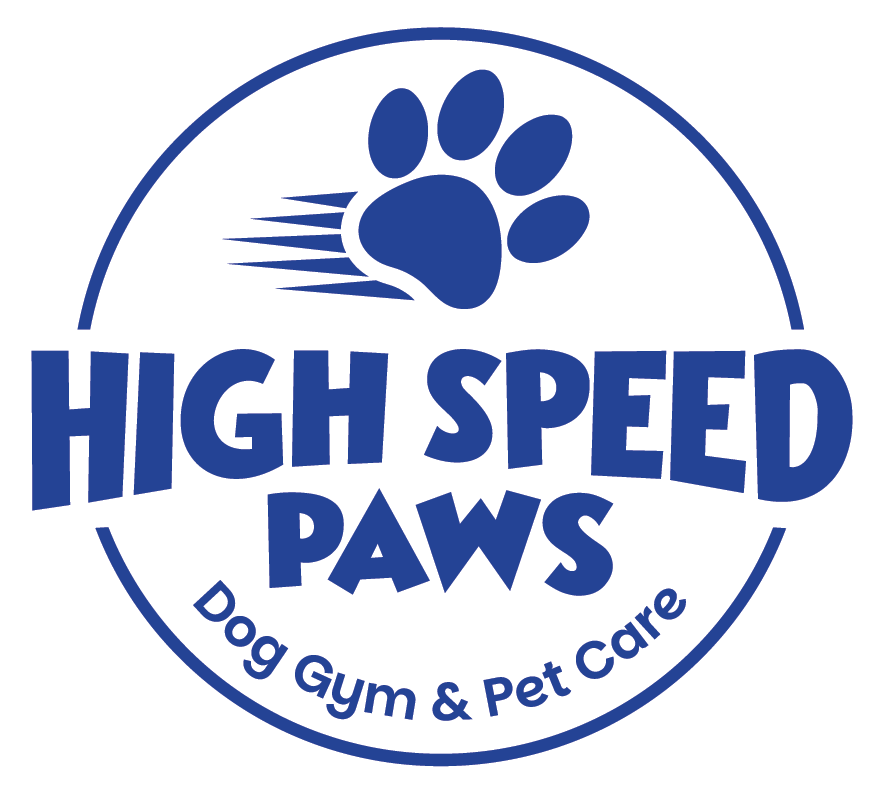 High speed paws Dog Gym & Pet care 