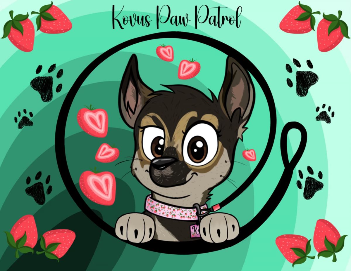 Kovus Paw Patrol