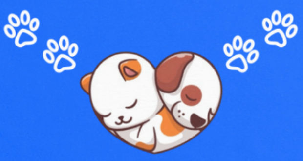 Lindsay's Loving Pet Care Services LLC