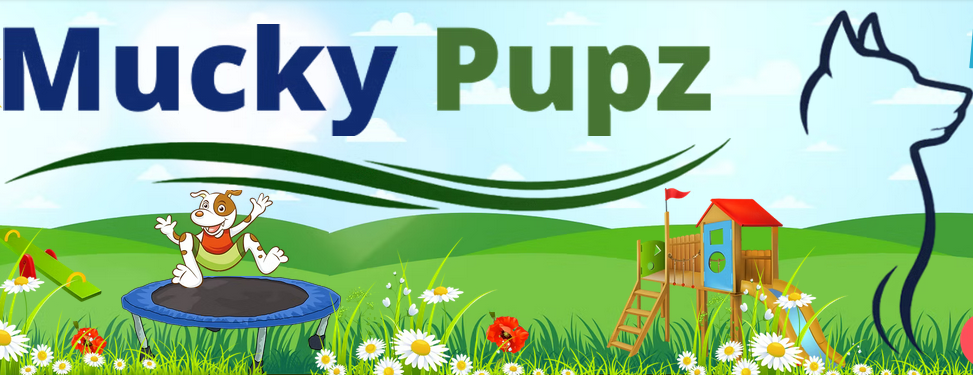 Mucky Pupz Canine Services Ltd