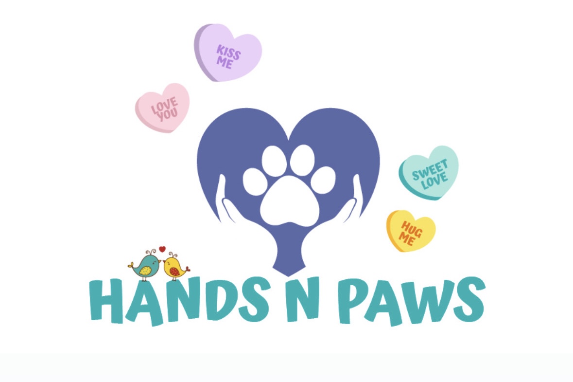 Hands N Paws