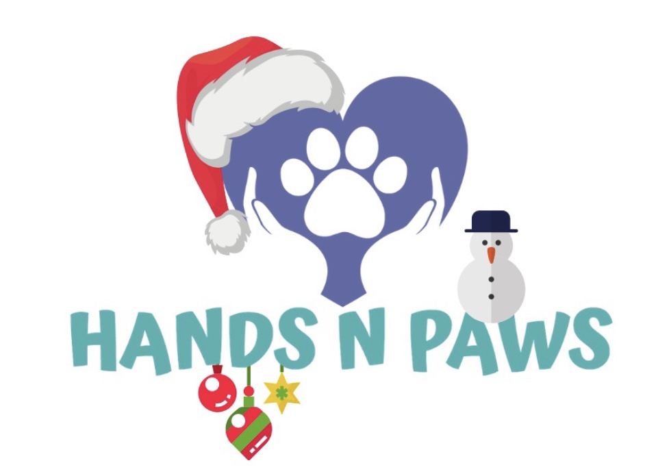 Hands N Paws