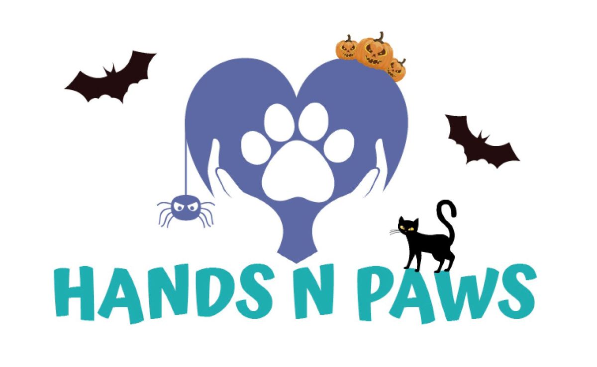 Hands N Paws
