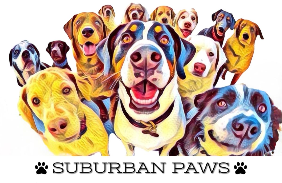 Suburban Paws, Inc.