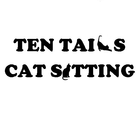 Ten Tails Cat Sitting 