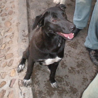 Thumb_p2270443