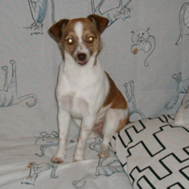 Thumb_ficha0259_img03