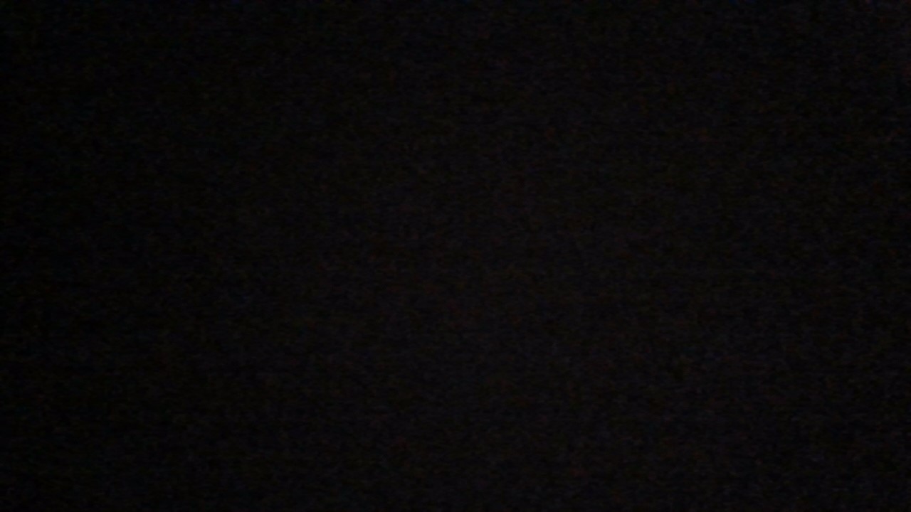 FELLOW.jpg