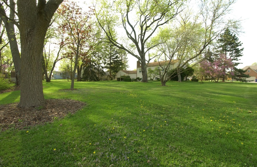 27W111 Knoch Knolls Rd LAND LOT (.48 acres), Naperville, IL, 60565