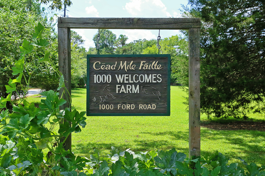 1000 Ford Road, Chapel Hill, NC, 27516