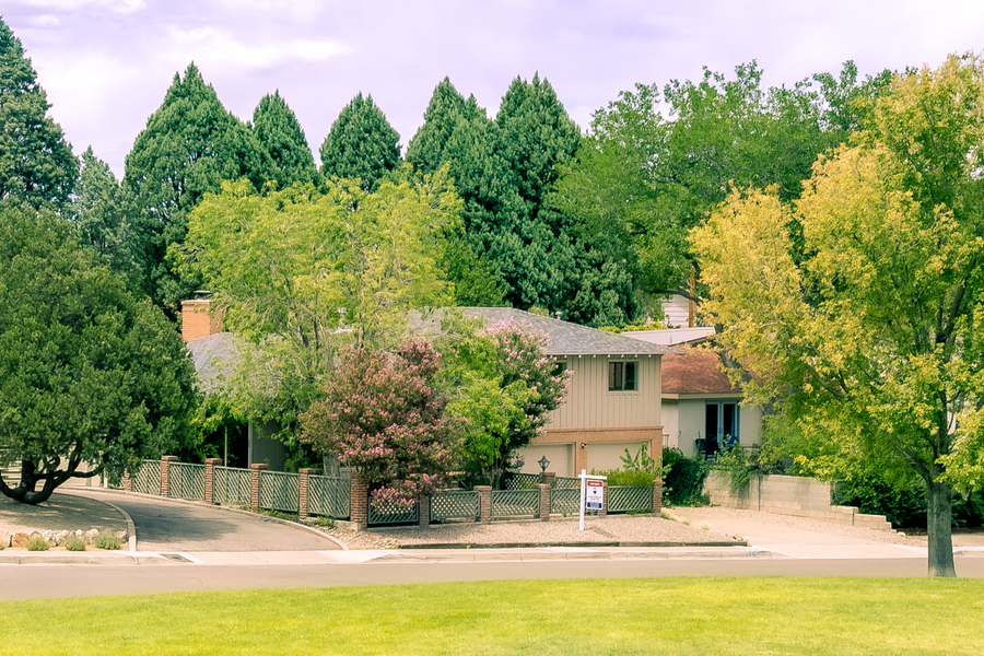 2515 Schell Court NE