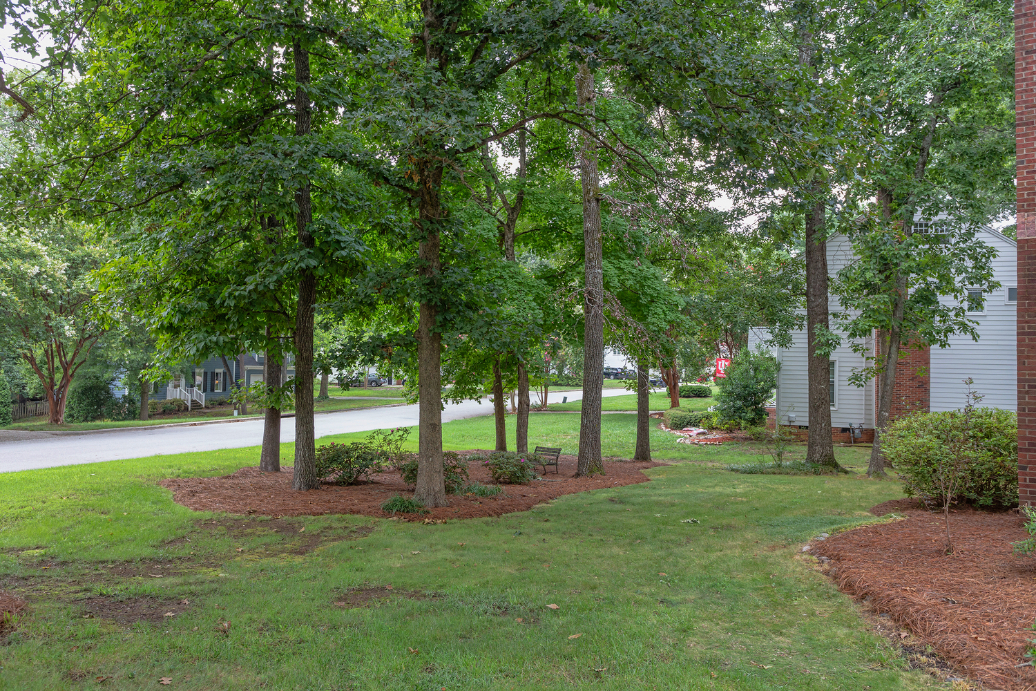 Photo 46