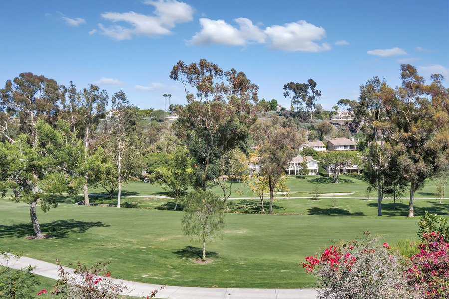 31699 West Nine Dr., Laguna Niguel, CA, 92677
