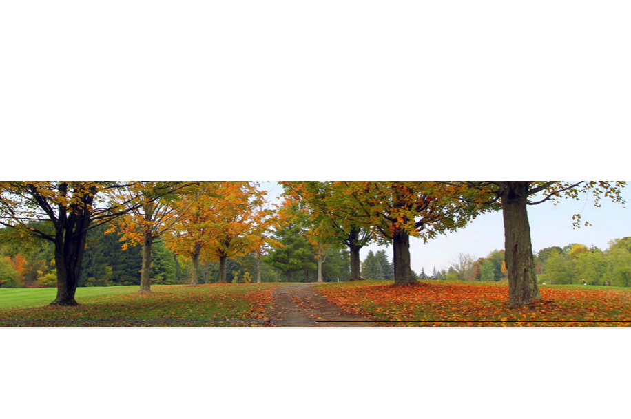 Amsterdam Municipal Golf Course