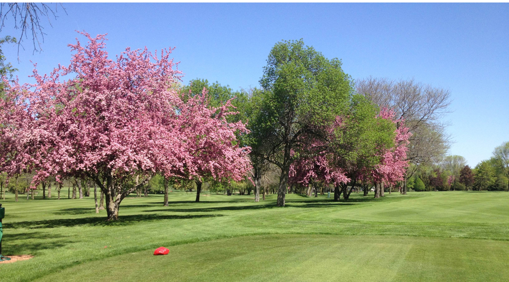 Watertown Country Club