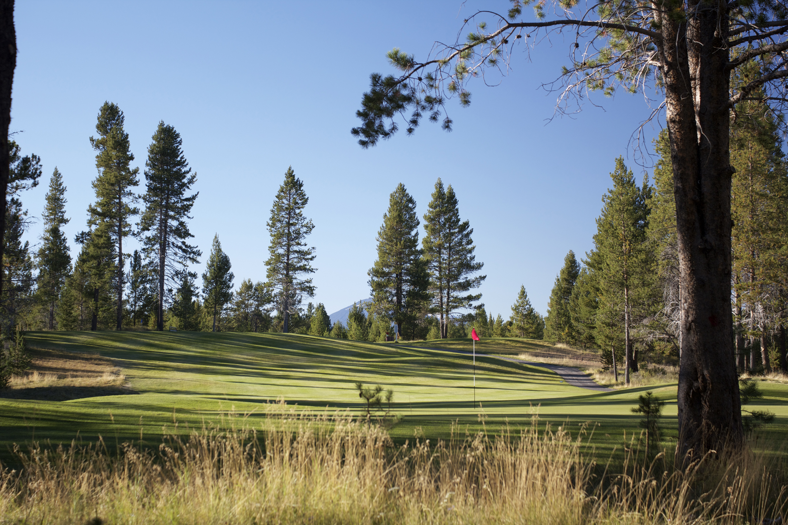 Quail Run Golf Course