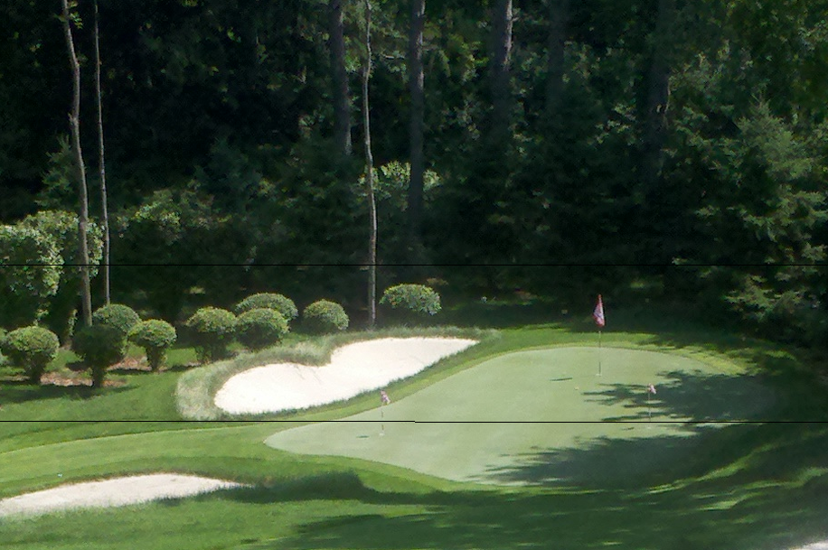 Performance in Motion