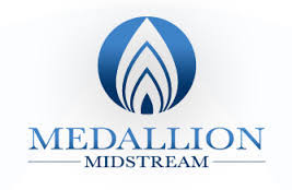 Medallion logo