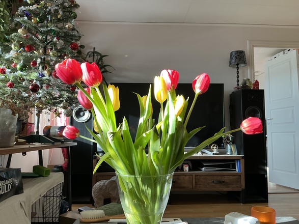 Buy fresh flowers every month