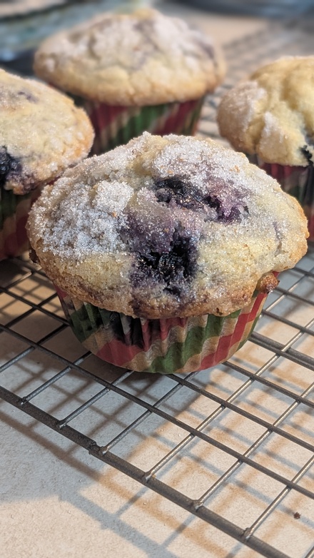 Blueberry Muffins