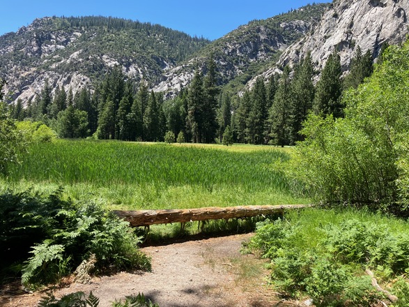 Visit Kings Canyon National Park