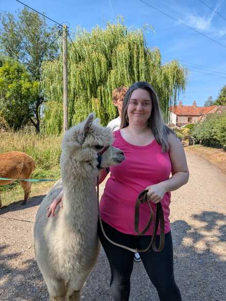 Alpaca Experience