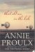 That Old Ace in the Hole by Annie Proulx