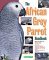 African Grey Parrot Handbook, The (Barron's Pet Handbooks) by Mattie Sue Athan