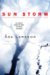 Sun Storm (UK title The Savage Altar) (#1) by Åsa Larsson