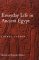 Everyday Life in Ancient Egypt by Lionel Casson