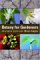 Botany for Gardeners by Brian Capon