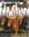 Horse (DK Eyewitness Books) by Juliet Clutton-Brock
