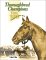 Thoroughbred Champions Top 100 Racehorses of the 20th Century by The Blood-Horse Staff