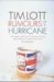 Rumours of a Hurricane by Tim Lott