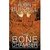 The Bone Chamber (Sydney Fitzpatrick, #2) by Robin Burcell