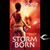 Storm Born (Dark Swan, #1) by Richelle Mead