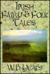 Irish Fairy and Folk Tales by W.B. Yeats