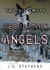 Desolation Angels #3 (The Big Empty) by J.B. Stephens