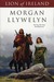 Lion of Ireland (Celtic World of Morgan Llywelyn) by Morgan Llywelyn