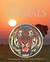 The World of Animals by Martin Walters