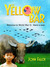 The Yellow Bar by John Falch