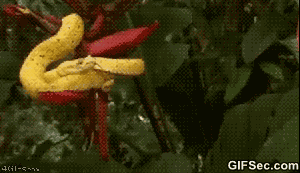  photo LOL-GIF_2_zpsevcd8glg.gif