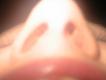 Nobody Nose