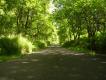 The road to nowhere?
