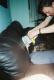 Our ritual of 'Abuse Aiden While He Sleep Continues'... with Mustard!
