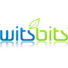 Witsbits
