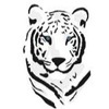 BetaCat Pharmaceuticals